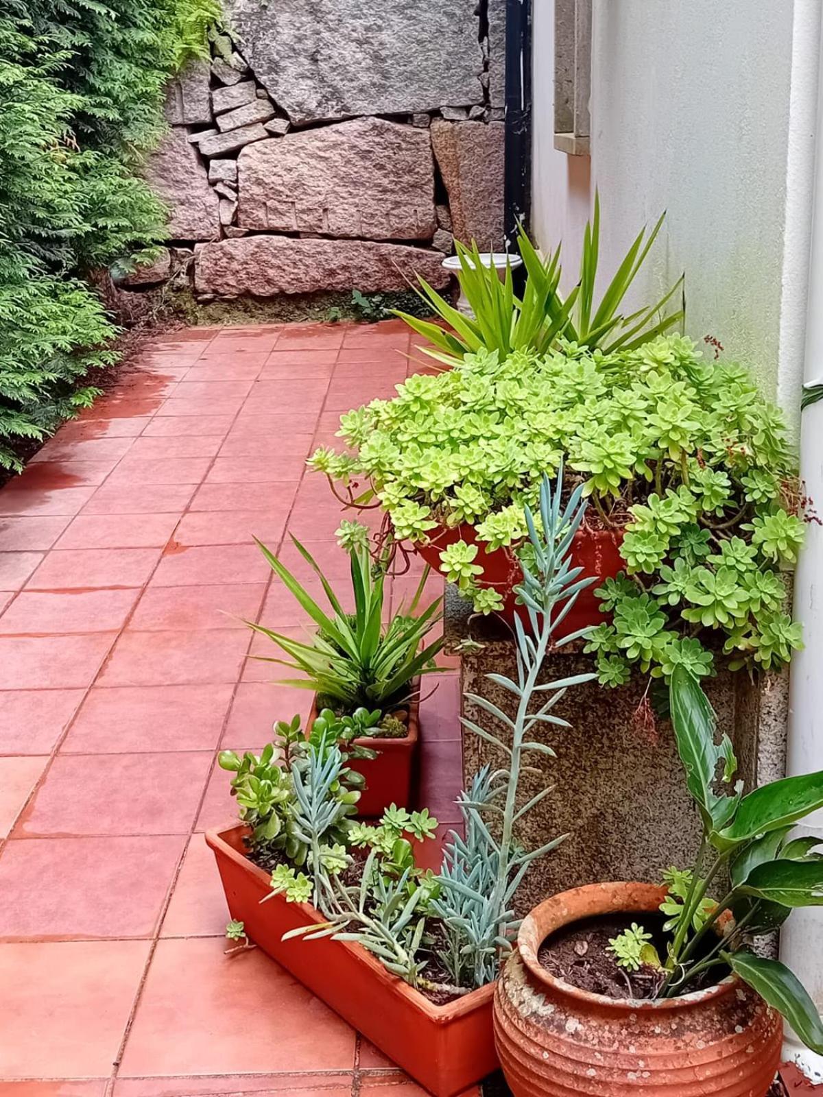 Vivienda Con Jardin Terraza Y Barbacoa Βίλα Picona Εξωτερικό φωτογραφία